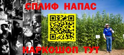 дмт Будённовск