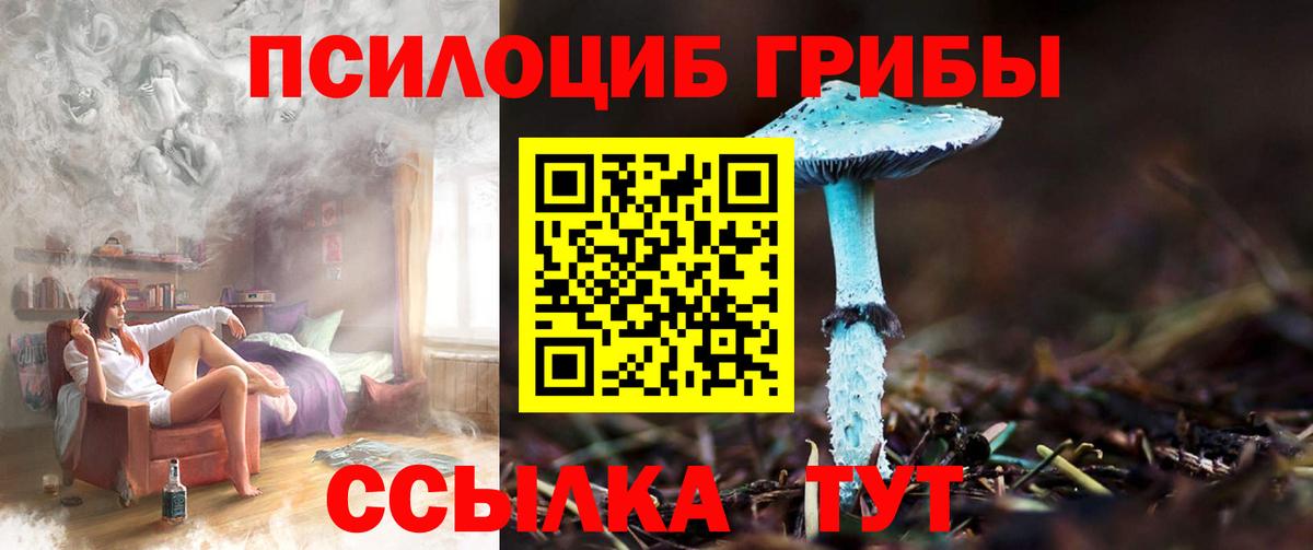 Галлюциногенные грибы ЛСД Сызрань
