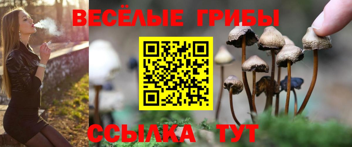 Галлюциногенные грибы Magic Shrooms  Галлюциногенные грибы прущие грибы  Вход с VPN  Сызрань 
